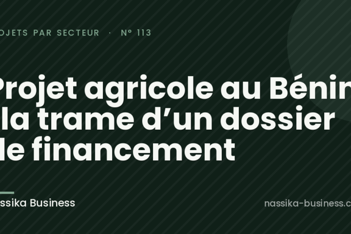 Projet agricole au Bénin : la trame d’un dossier de financement