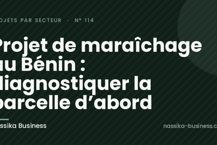 Projet de maraîchage au Bénin : diagnostiquer la parcelle d’abord