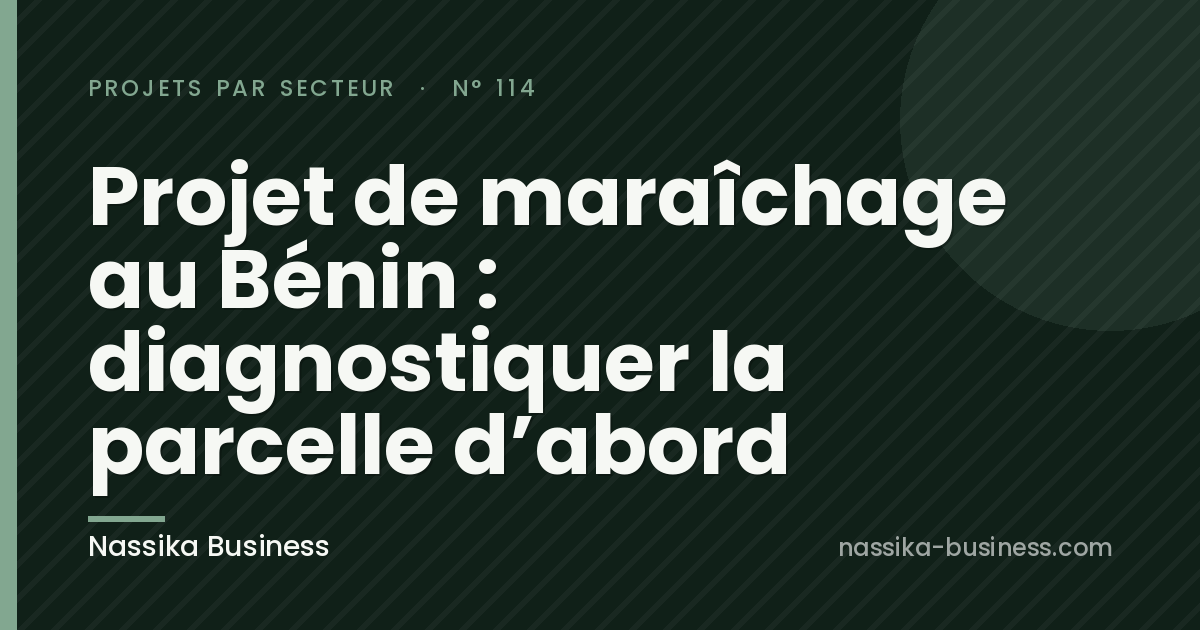 Projet de maraîchage au Bénin : diagnostiquer la parcelle d&rsquo;abord