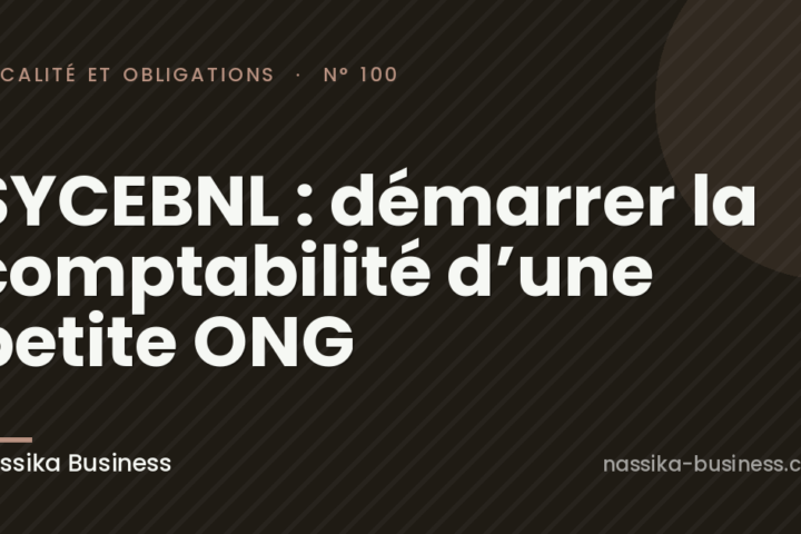 SYCEBNL : démarrer la comptabilité d’une petite ONG