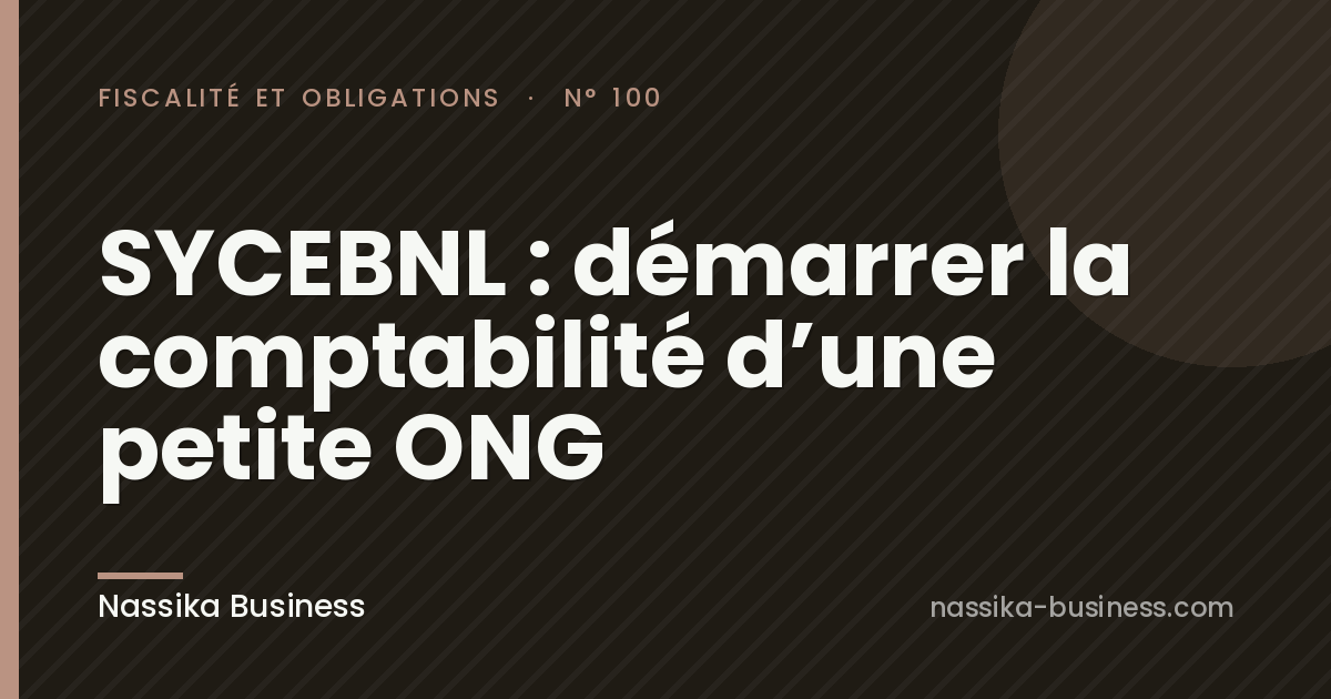 SYCEBNL : démarrer la comptabilité d&rsquo;une petite ONG
